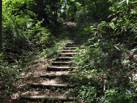 20140517hike (113)